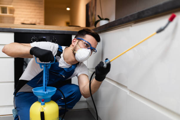 Best Residential Pest Control  in Belvedere Park, GA