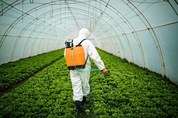 Best Pest Inspection Near Me  in Belvedere Park, GA