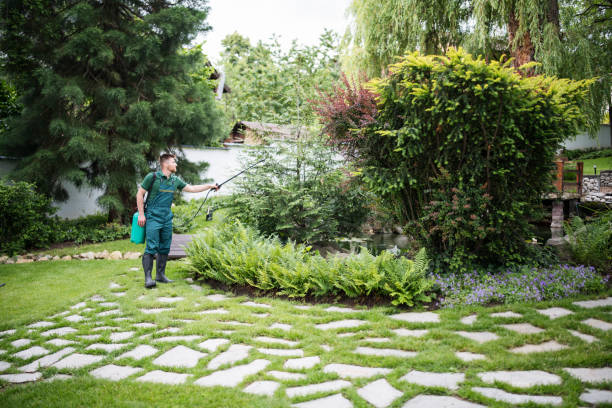 Pest Control Cost in Belvedere Park, GA