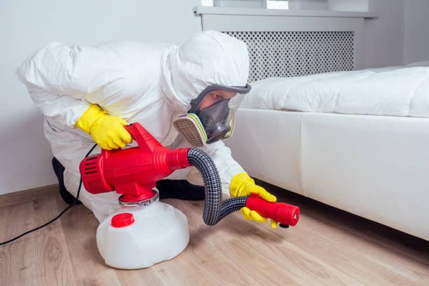 Best Emergency Pest Control  in Belvedere Park, GA