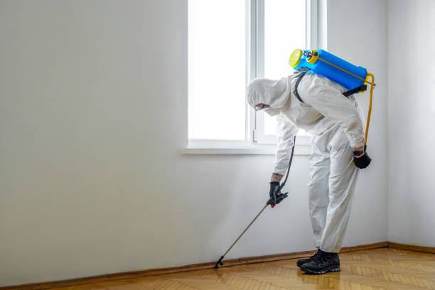Best Pest Prevention Services  in Belvedere Park, GA