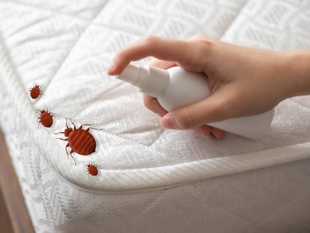 Best Insect Control  in Belvedere Park, GA