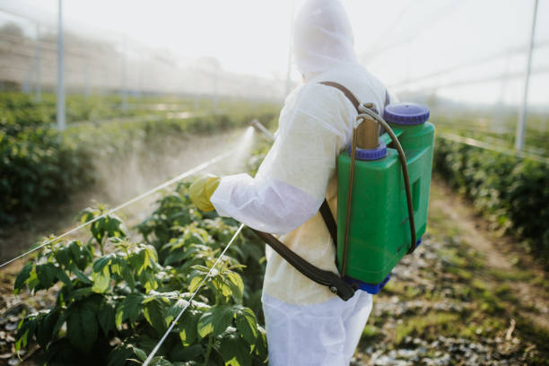 Pest Prevention Services in Belvedere Park, GA